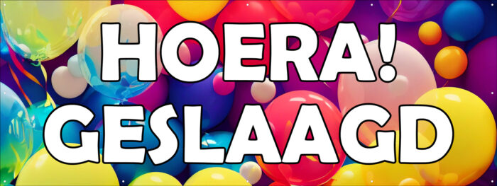 Span207 Hoera Geslaagd Ballonnen
